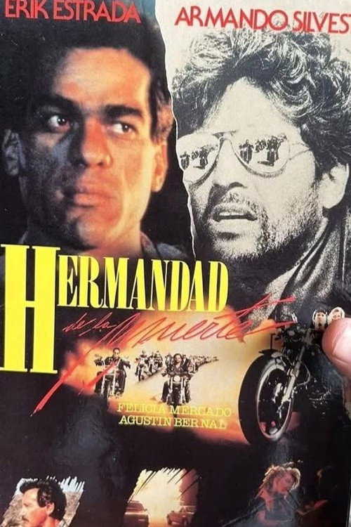 The Last Riders постер