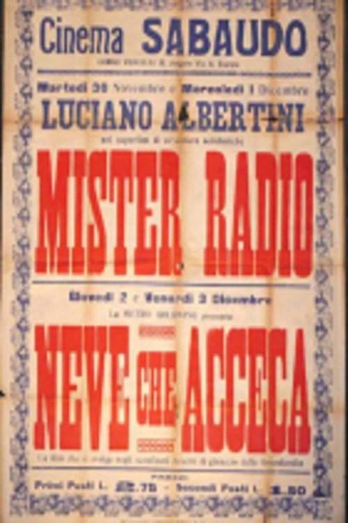 Mister Radio постер