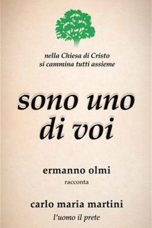 Vedete, sono uno di voi постер