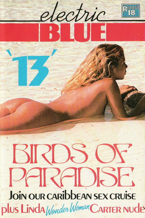 Electric Blue 13 постер