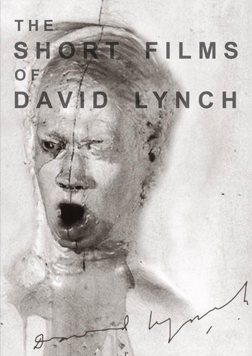 The Short Films of David Lynch постер