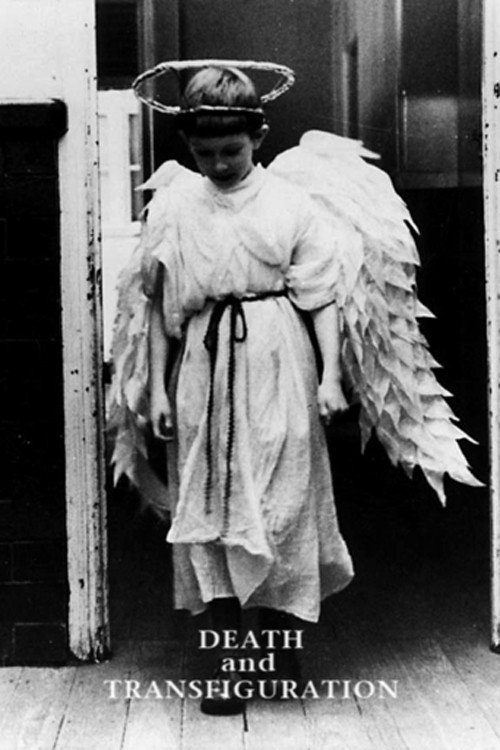 Death and Transfiguration постер