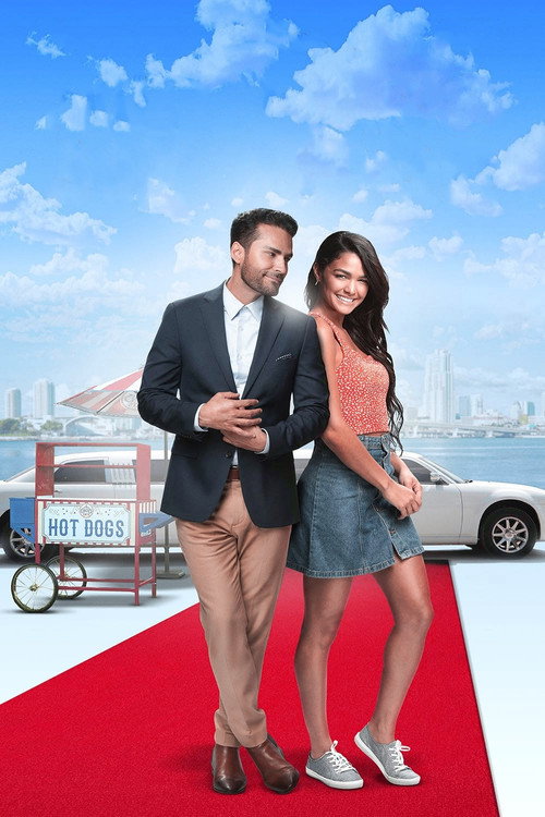 Миллионер без любви постер