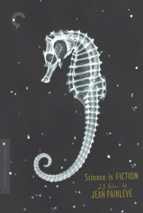 The Sea Horse постер