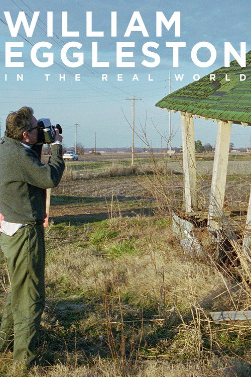 William Eggleston in the Real World постер