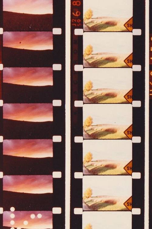 Horizons постер