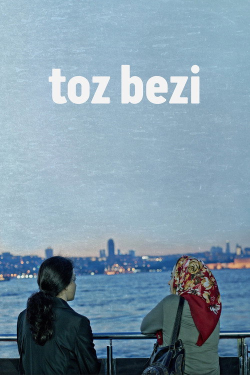 Toz Bezi постер