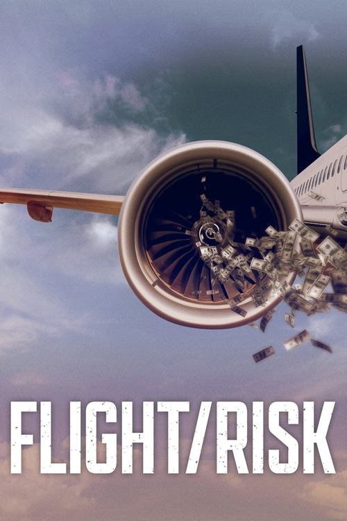 Flight/Risk постер