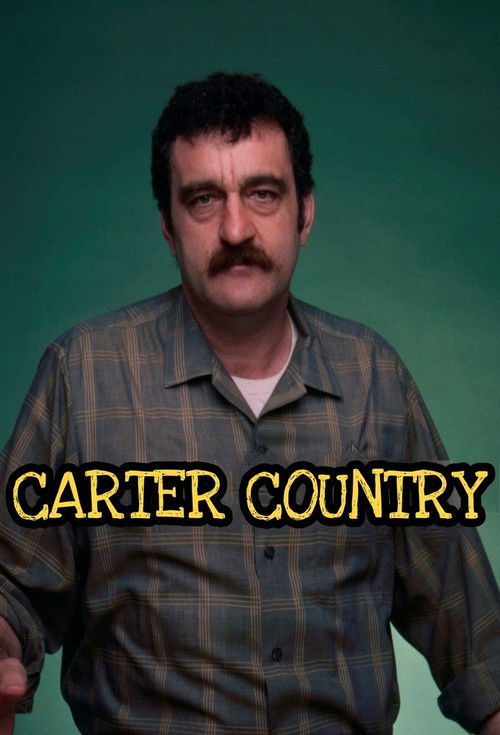 Carter Country постер