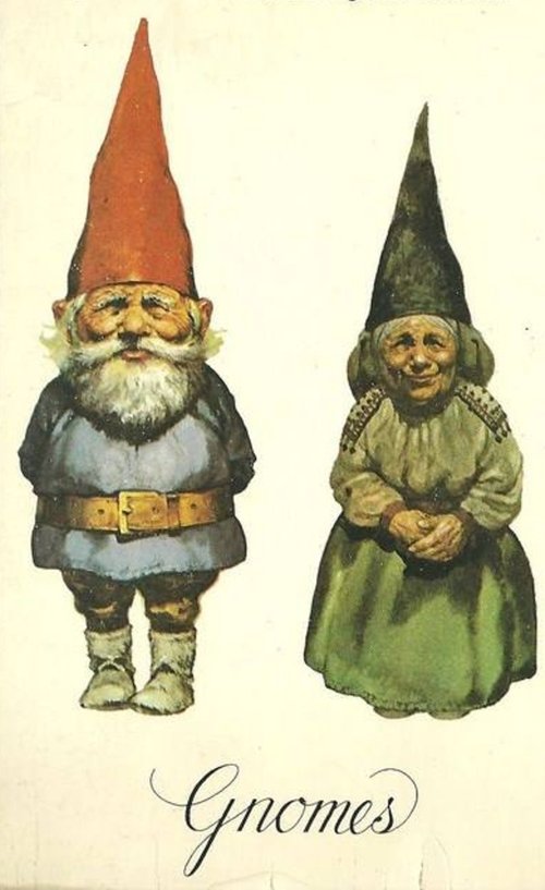 Gnomes постер