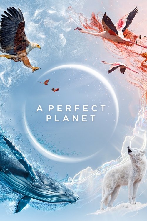 A Perfect Planet постер