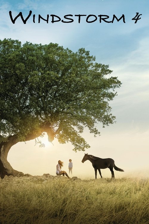 Windstorm 4 постер