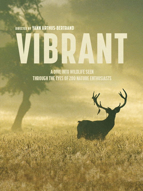 Vivant постер