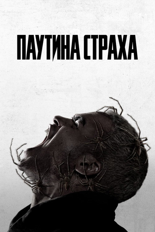 Паутина страха постер