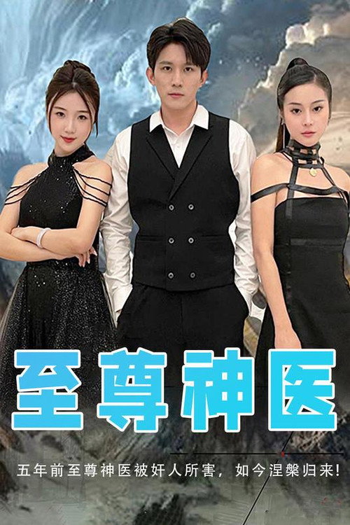 至尊神医 постер