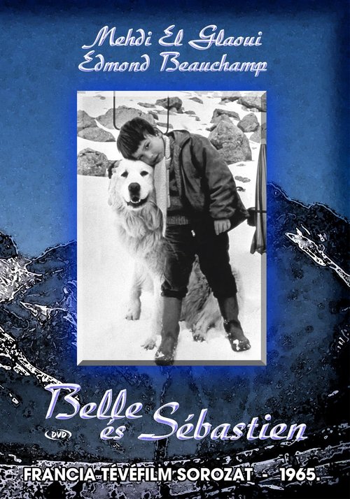 Belle and Sebastian постер