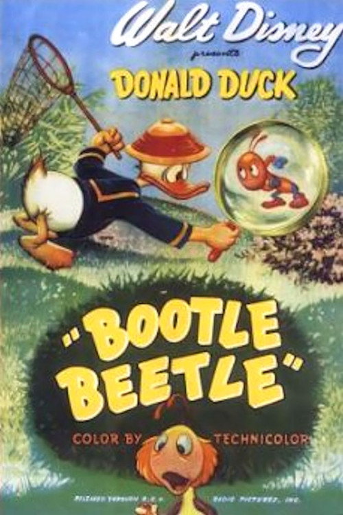 Bootle Beetle постер
