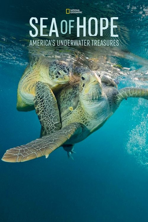 Sea of Hope: America's Underwater Treasures постер