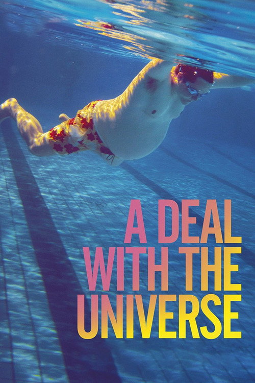 A Deal With The Universe постер