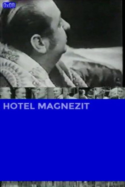 Hotel Magnezit постер