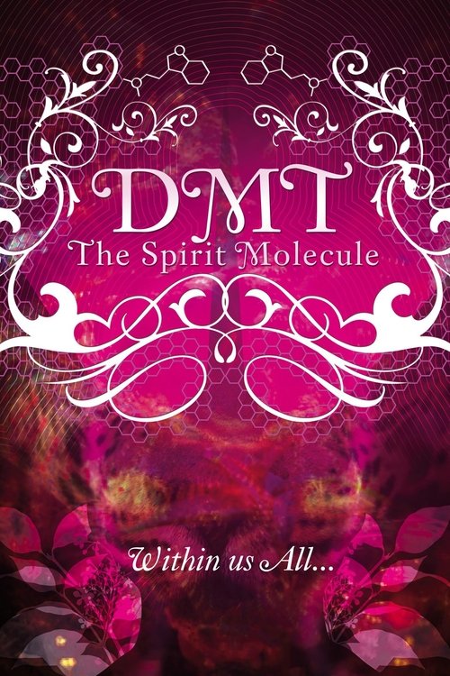 DMT: The Spirit Molecule постер