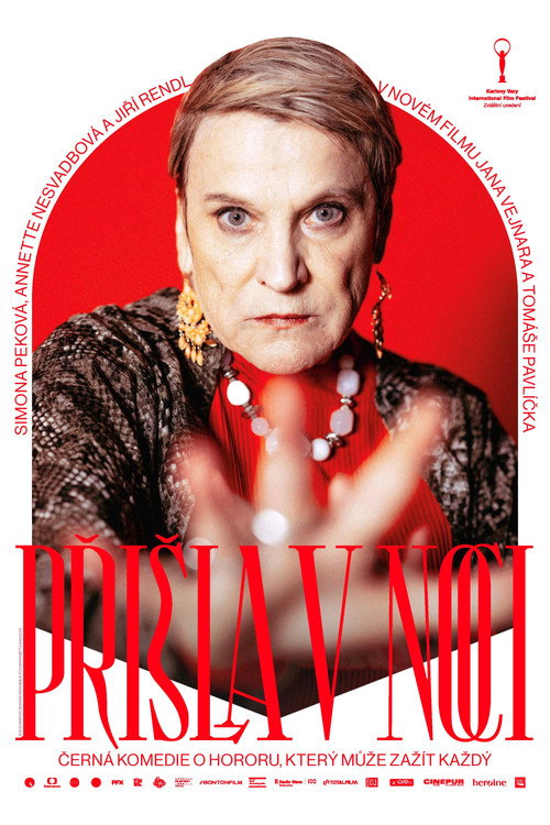 Свекровь постер