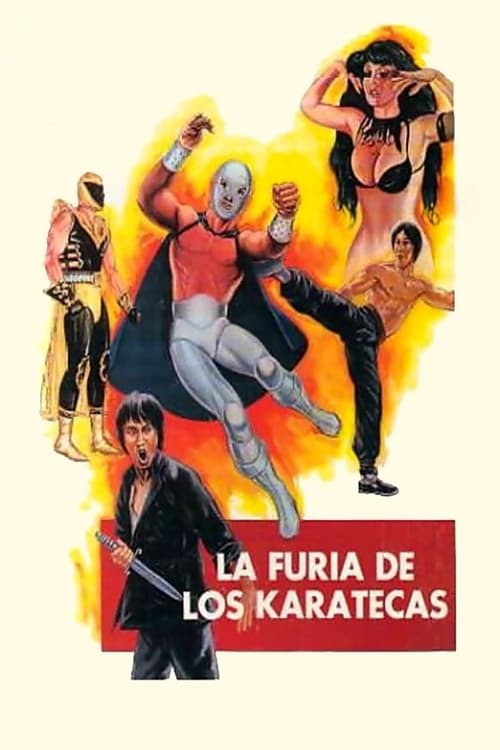 The Fury of the Karate Experts постер