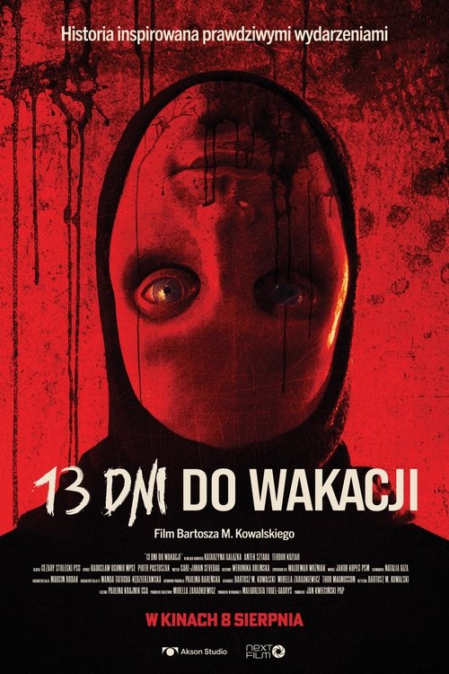 13 dni do wakacji постер
