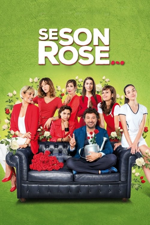 Se son rose... постер