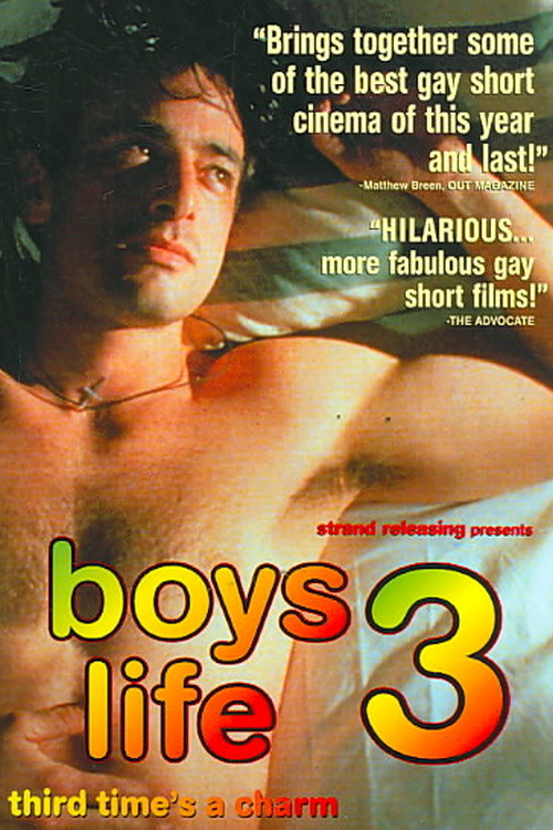 Boys Life 3 постер