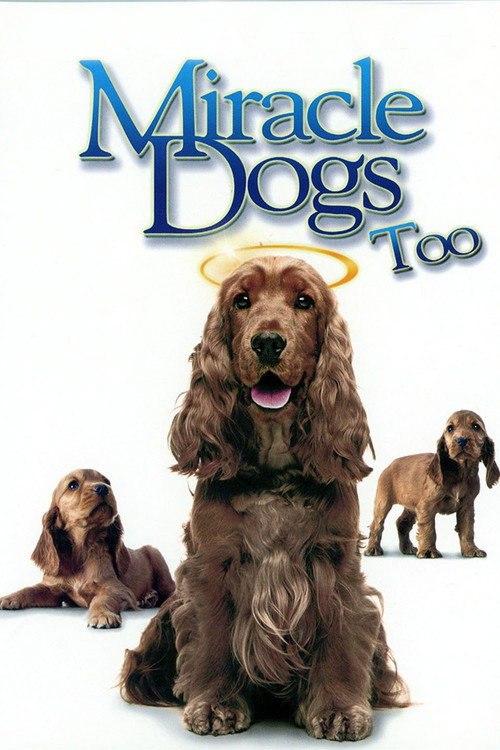 Miracle Dogs Too постер
