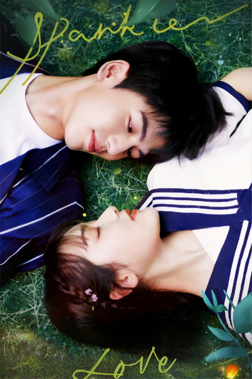 Sparkle Love постер