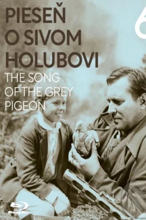 The Song of the Grey Pigeon постер