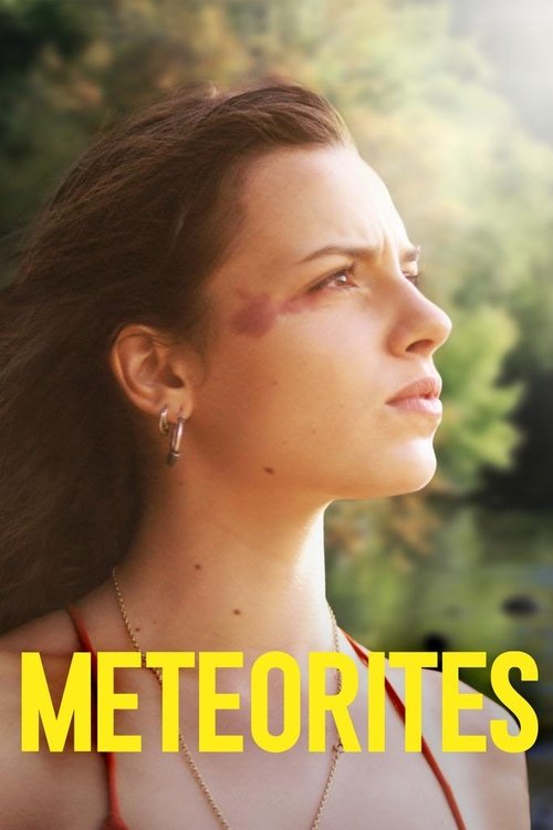 Meteorites постер