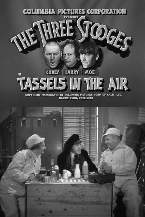Tassels in the Air постер