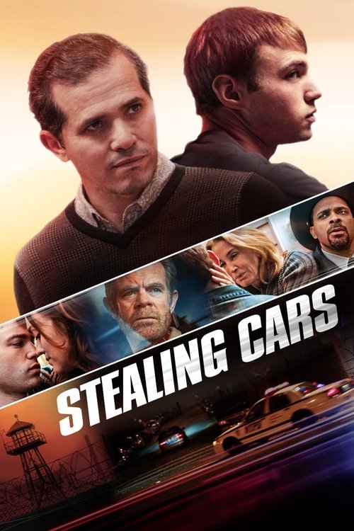 Stealing Cars постер