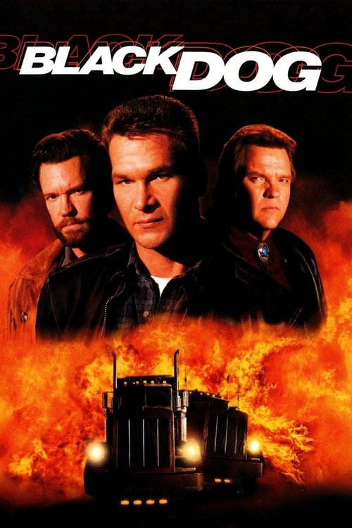 Black Dog постер