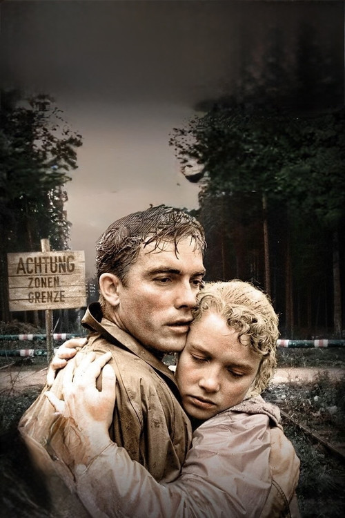 Sky Without Stars постер