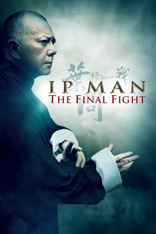 Ip Man: The Final Fight постер