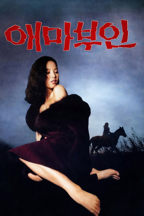 애마부인 постер