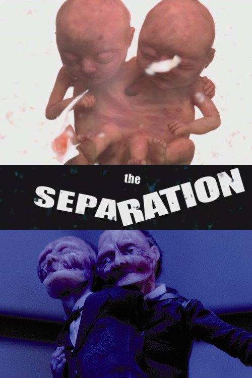 The Separation постер