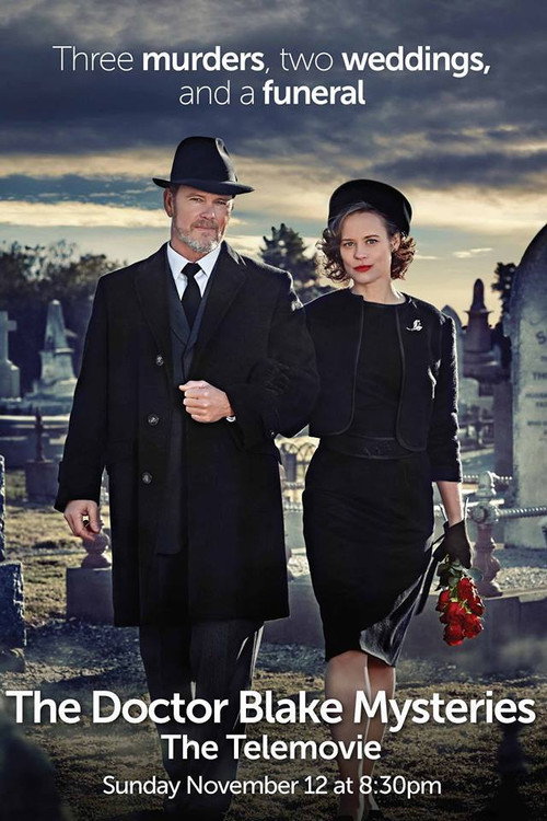 Доктор Блейк: Семейный портрет постер