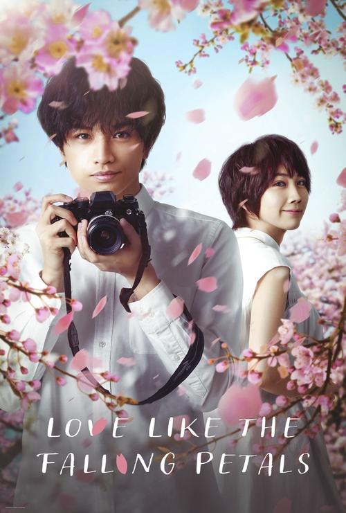 Love Like the Falling Petals постер