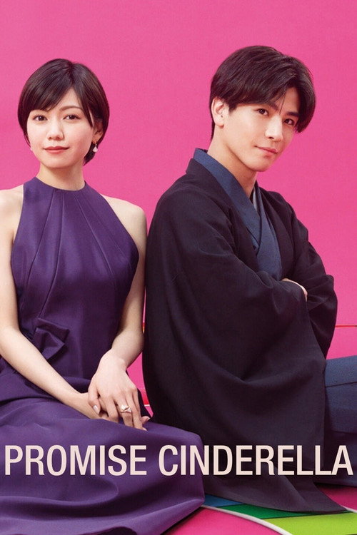 プロミス・シンデレラ постер