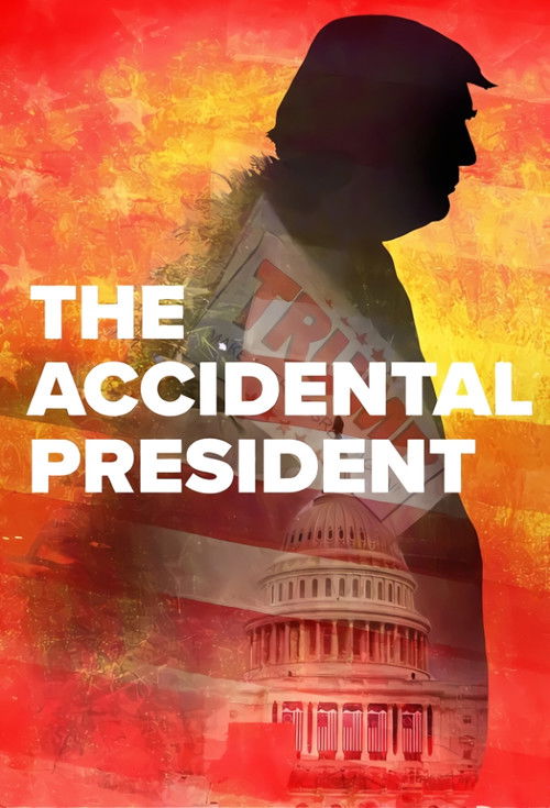 The Accidental President постер