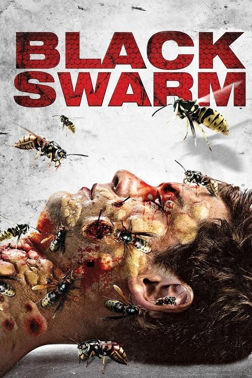 Black Swarm постер