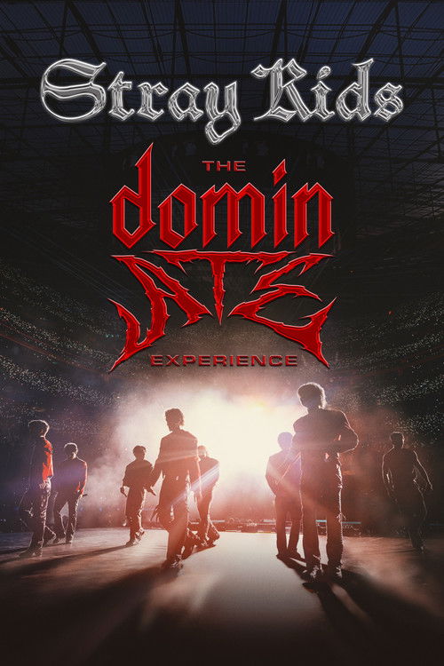 Stray Kids: The dominATE Experience постер