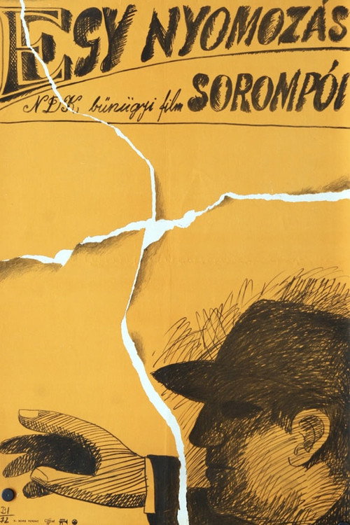 The Zernik Murder Case постер