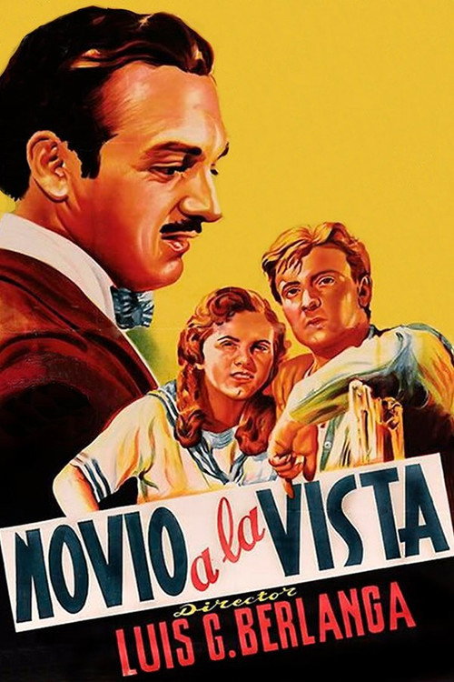 Novio a la vista постер