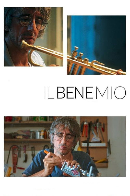 Il bene mio постер